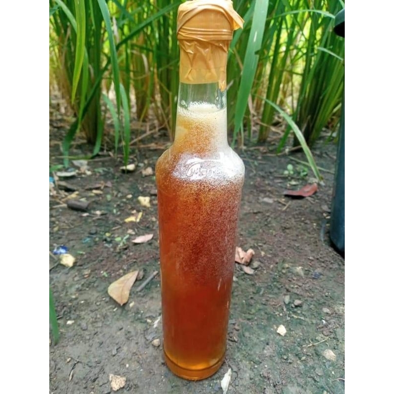 

Madu Syauzy Madu Hutan dan Ternak
