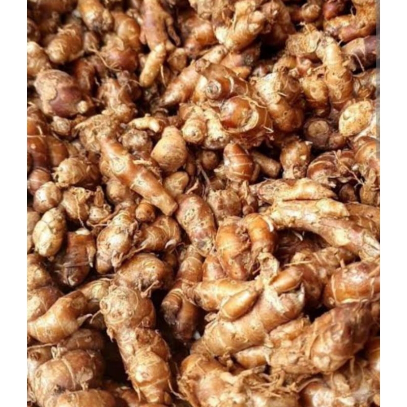

kencur segar_200gr