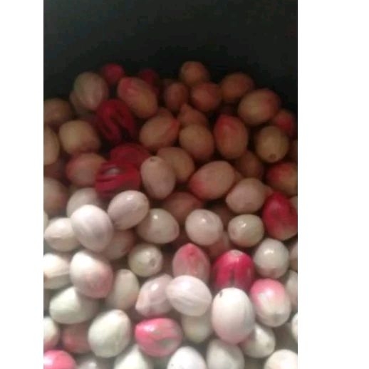 

biji pala super segar 1kg