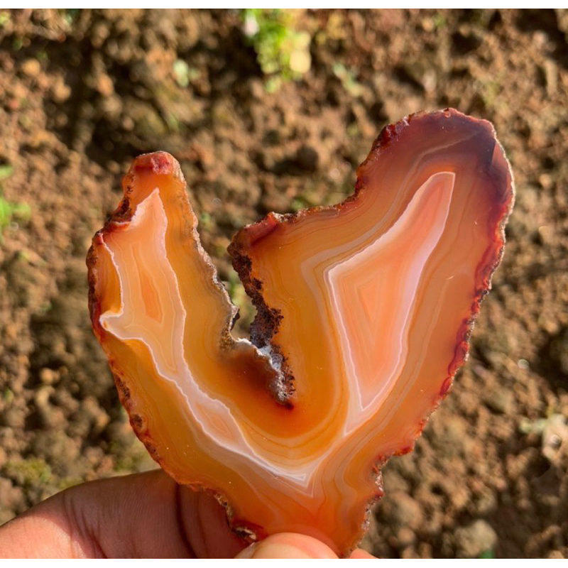 lempengan batu akik dipoles