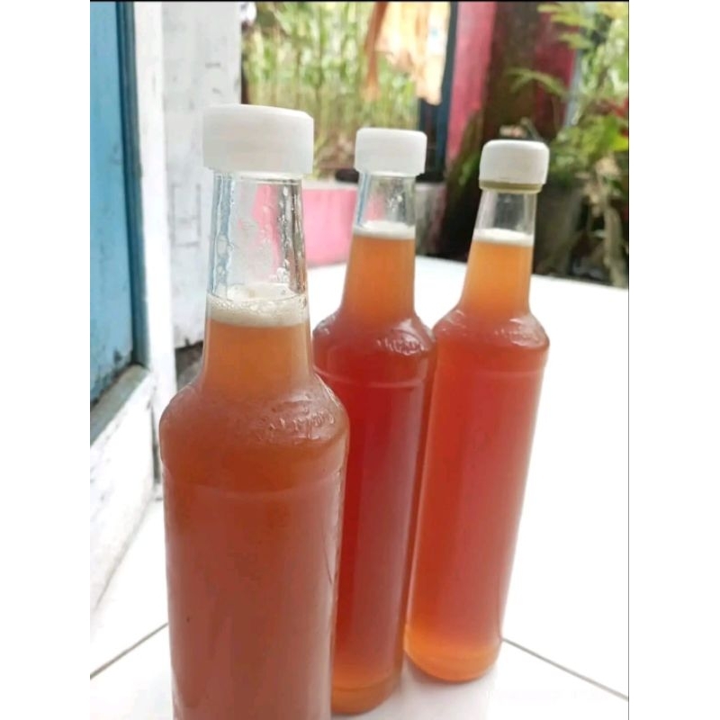 

Madu Syauzy Madu Triogona