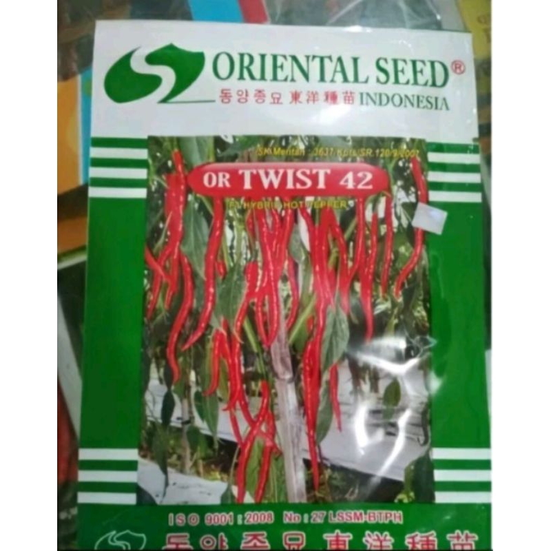 benih cabe keriting unggul Or twist 42 isi 10 gr