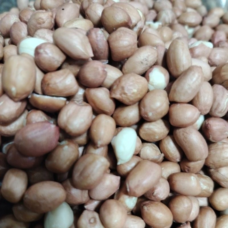 

kacang kulit Tuban 1/2kg/500gram