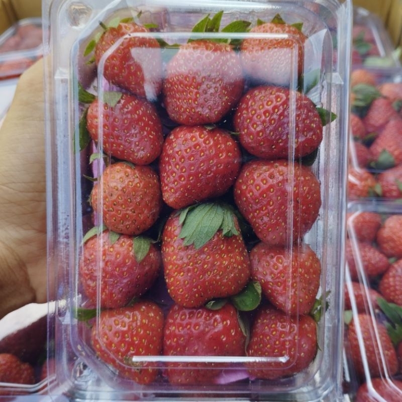 

Buah Strawberry