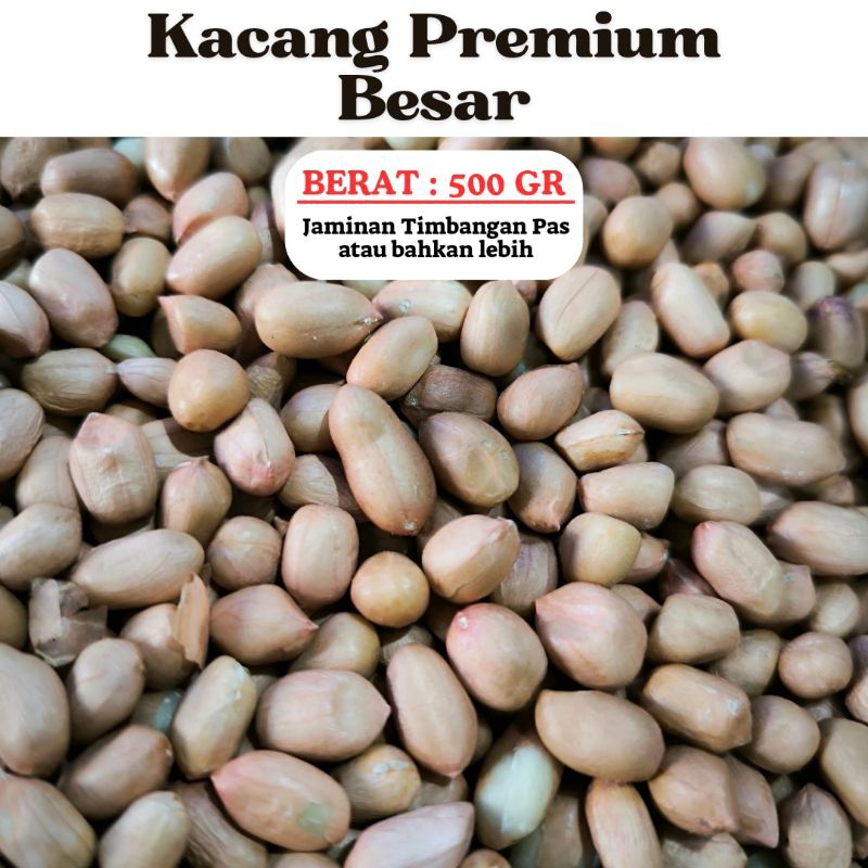 

Kacang Tanah Premium 500 Gram Kacang Tanah Besar