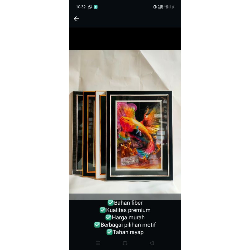 frame/figura/bingkai/fiber/foto10RS/12R/12RS/16RS/16R