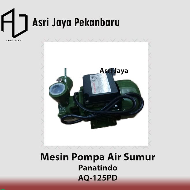 Mesin Pompa Air Sumur PANATINDO DAP AQ-125 PD Watt Non Otomatis