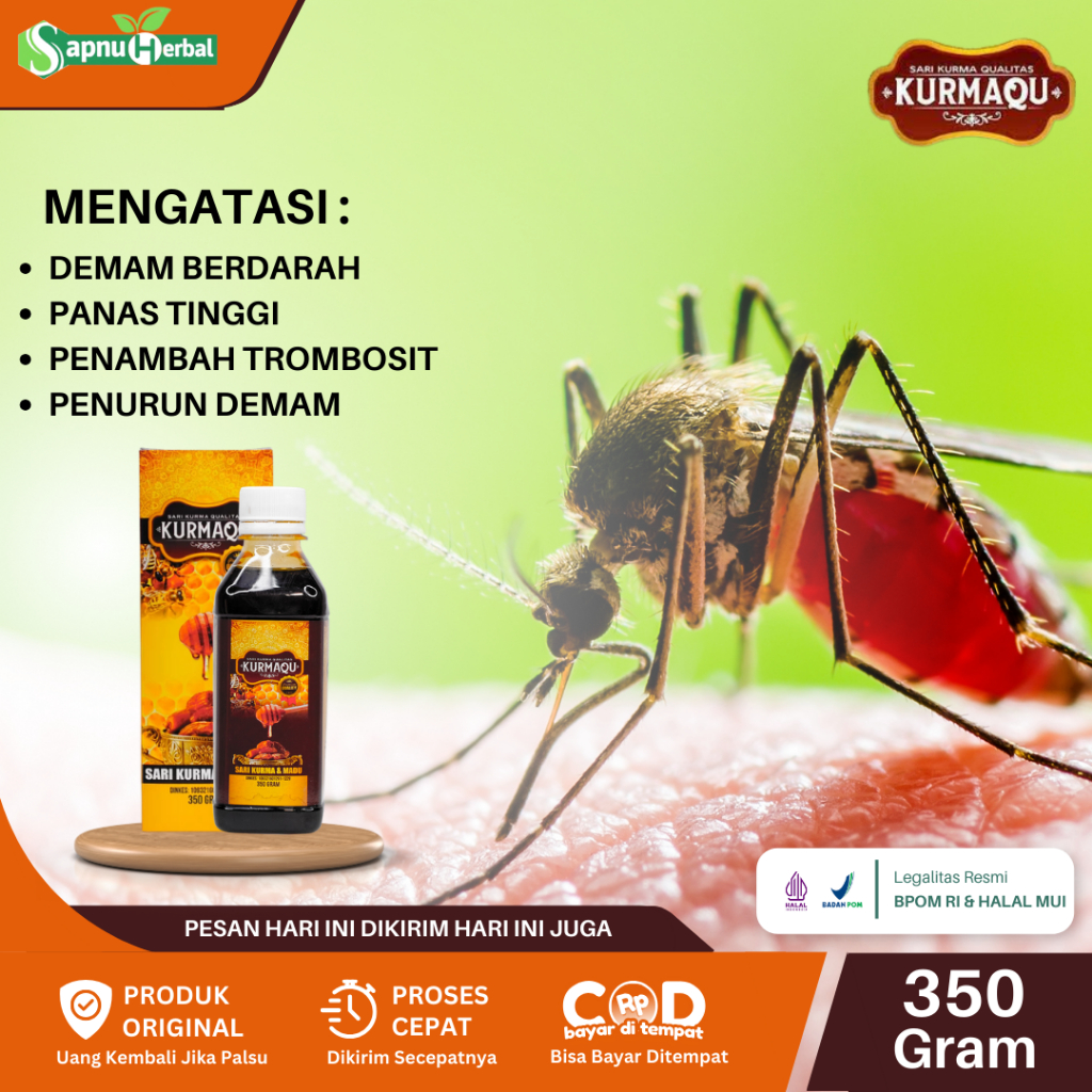 Obat Demam Berdarah Anak dan Dewasa, Obat Demam Panas, Obat Pemulihan Penyakit DBD, Obat Demam Tingg