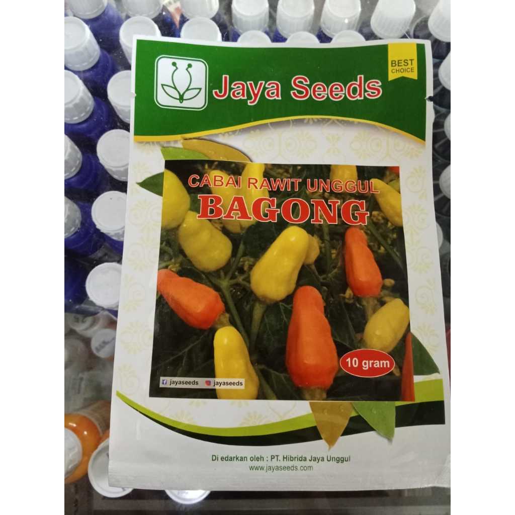 Benih Cabai rawit Bagong