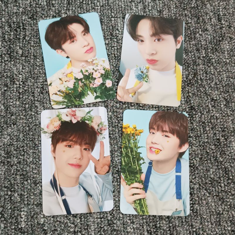 blooming photocard treasure junghwan doyoung kpop