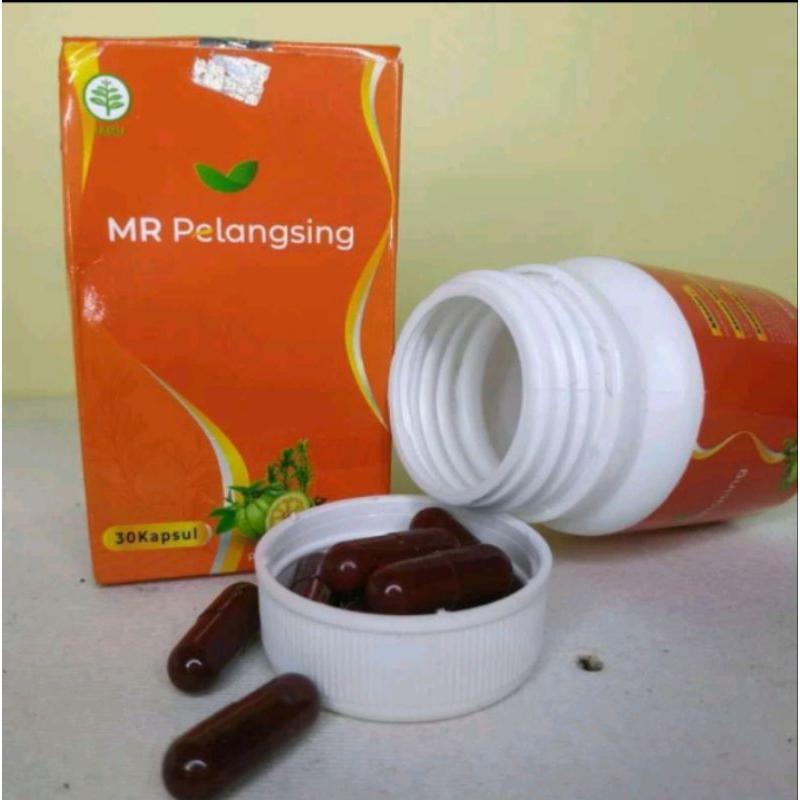 MR pelangsing original