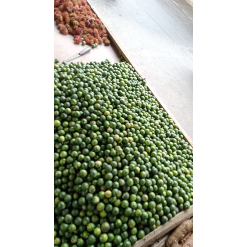 

jeruk Sunkist/kunci/kasturi