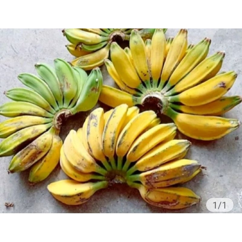 

Pisang Kepok Kuning/sisir