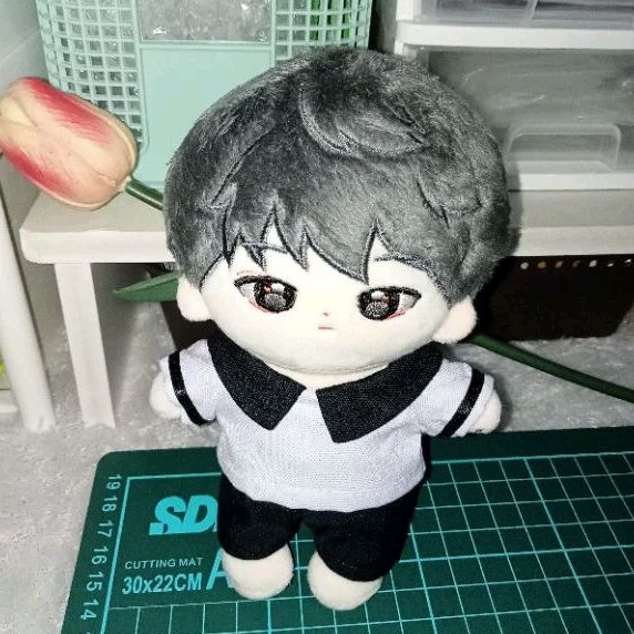BONEKA WOOJJANG WONWOO SEVENTEEN / Woojjang doll wonwoo 15cm seventeen doll