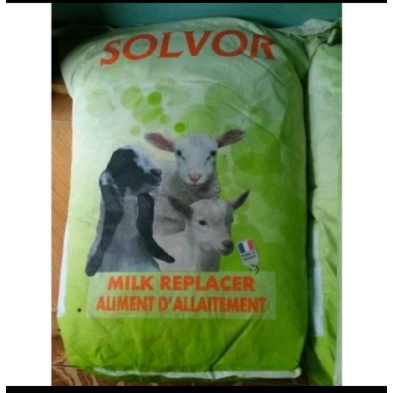 Solvor Susu Anak Kambing Sapi Kerbau Domba Pengganti Susu Induknya