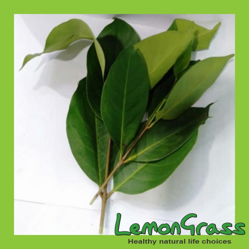 

Daun Salam per pack kirim instan