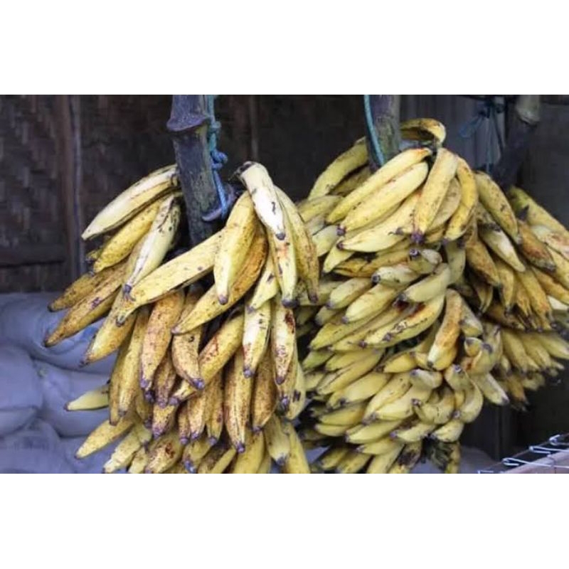 

pisang candi manis