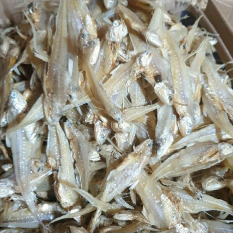 

Ikan Asin Bulu Ayam/ikan bulu ayam tawar