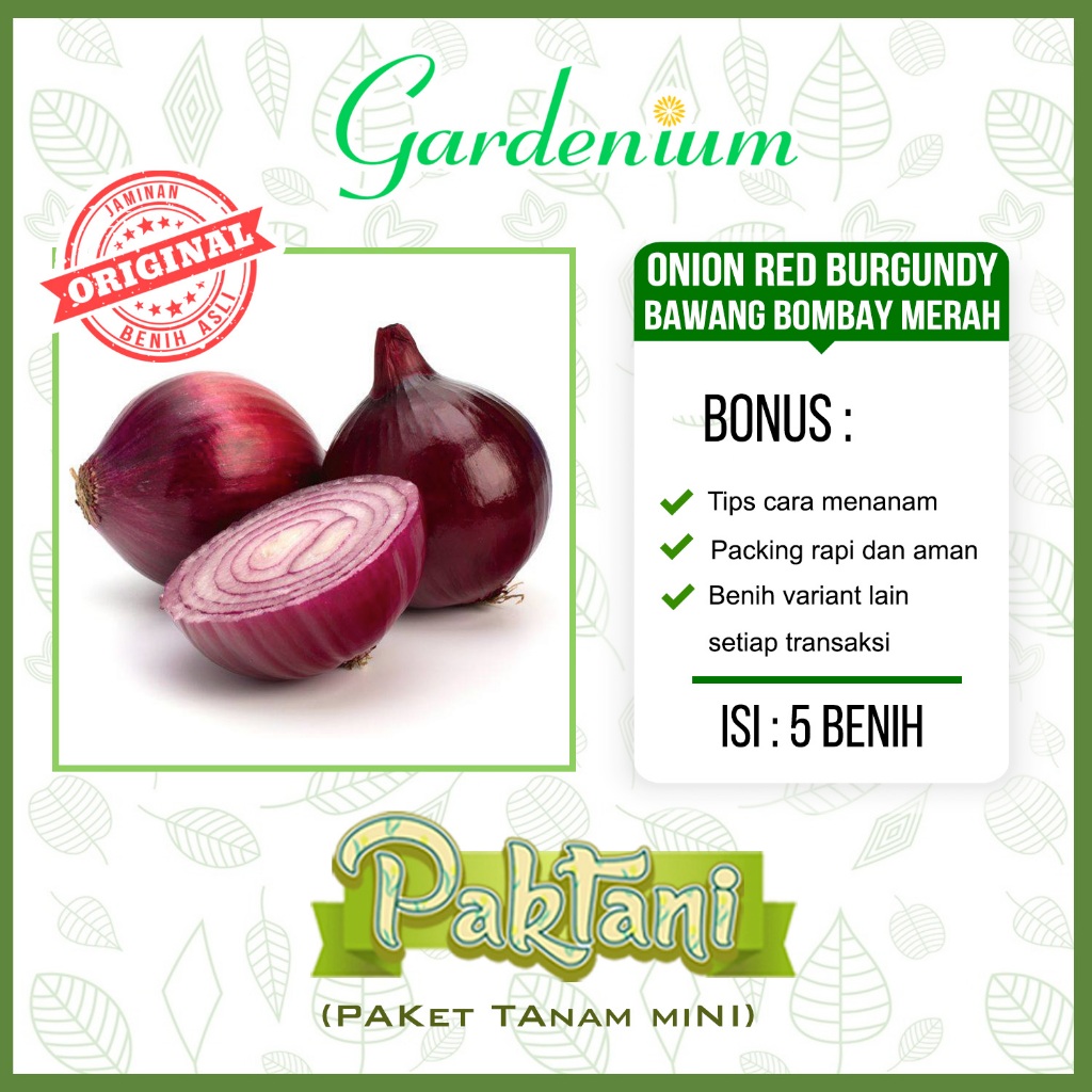 5 Benih Onion Red Burgundy Bawang Bombay Merah Unggul Paktani