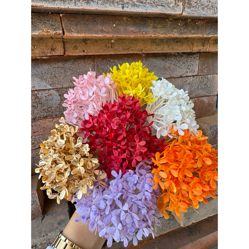 Bunga Soka / Soka Bali / Bunga Soka kekinian