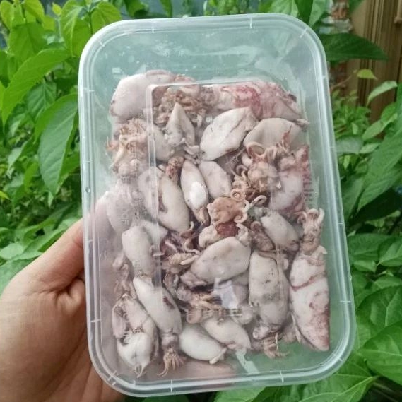 

Cumi Asin Grade A 250Gram - gudangbuahnusantara