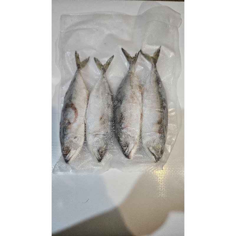 

Ikan Kembung Banjar Frozen