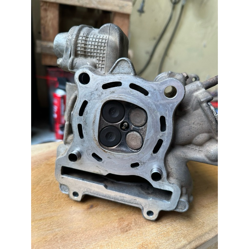 head std mx king copotan