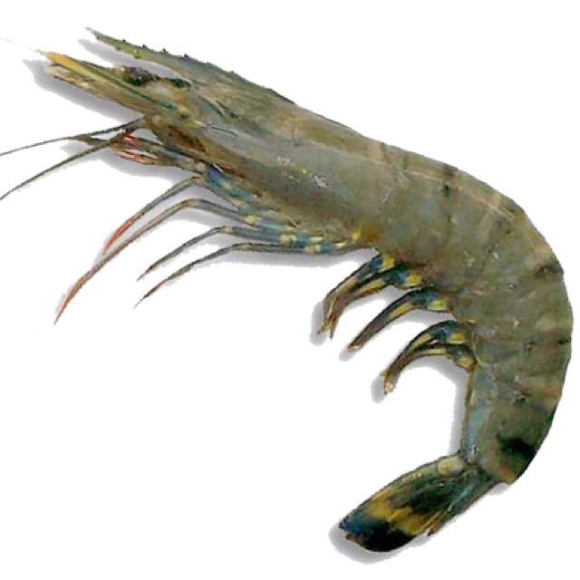 

udang vaname uk sedang 1 kg
