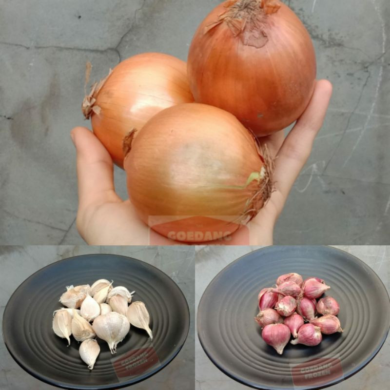 

aneka bawang / bawng merah / bawang putih / bawang bombay