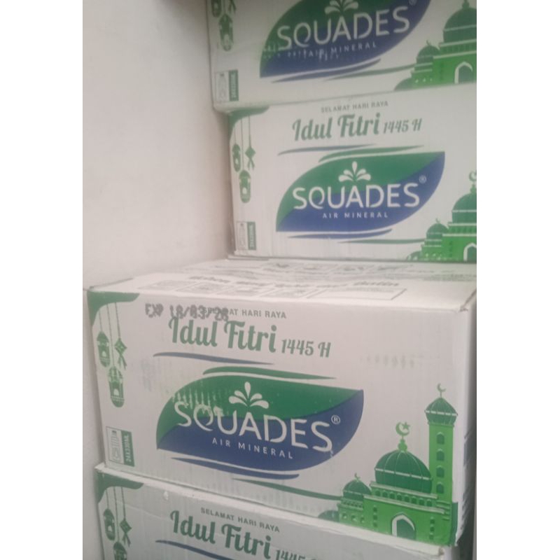 squades botol mini 330 ml