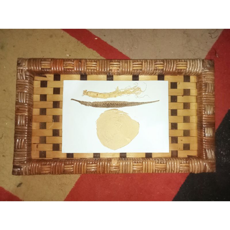 

Ramuan Herbal 3 macam Ginseng Changbai UTUH Pasak Bumi siap rendam