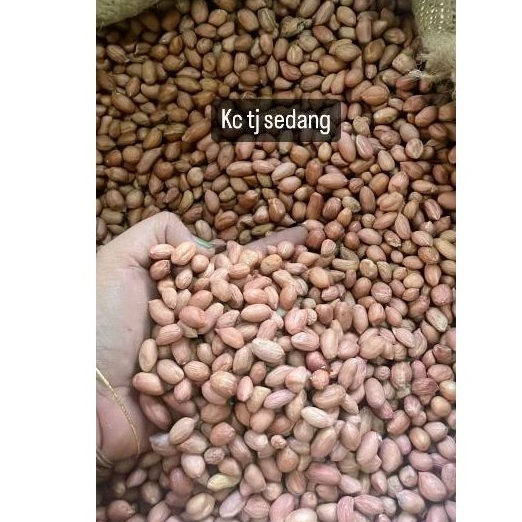 

Kacang tanah kemasan 500 gr