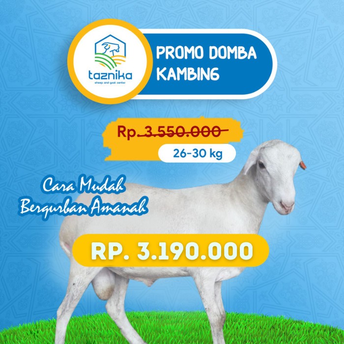 

QURBAN DOMBA/KAMBING JANTAN 26-30KG