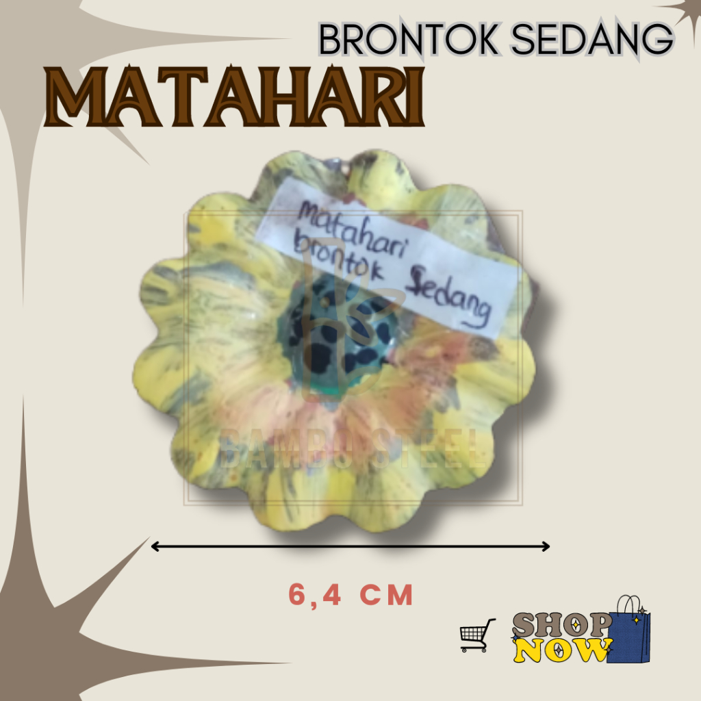 Ornamen Aksesoris Pagar Besi Motif Bunga Matahari Brontok Sedang Plat Besi