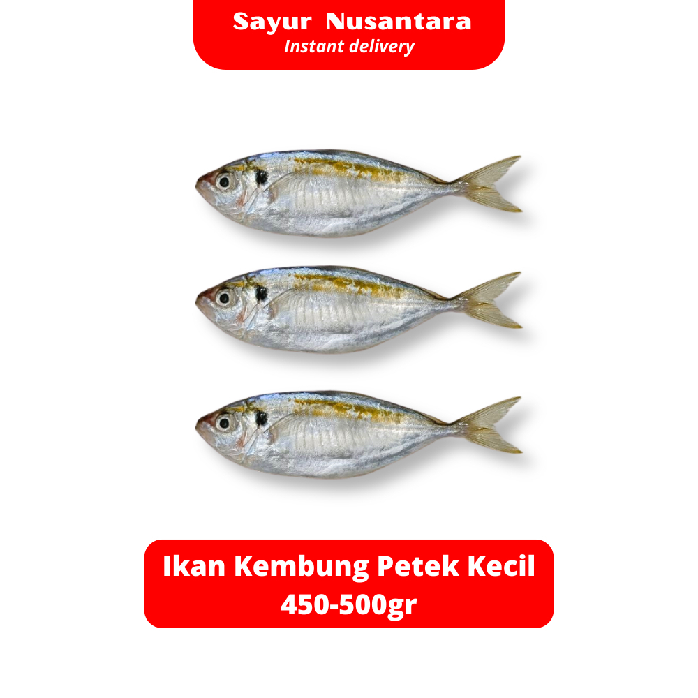 

Ikan Kembung Petek Kecil 450-500gr Fresh Frozen - Sayur Nusantara