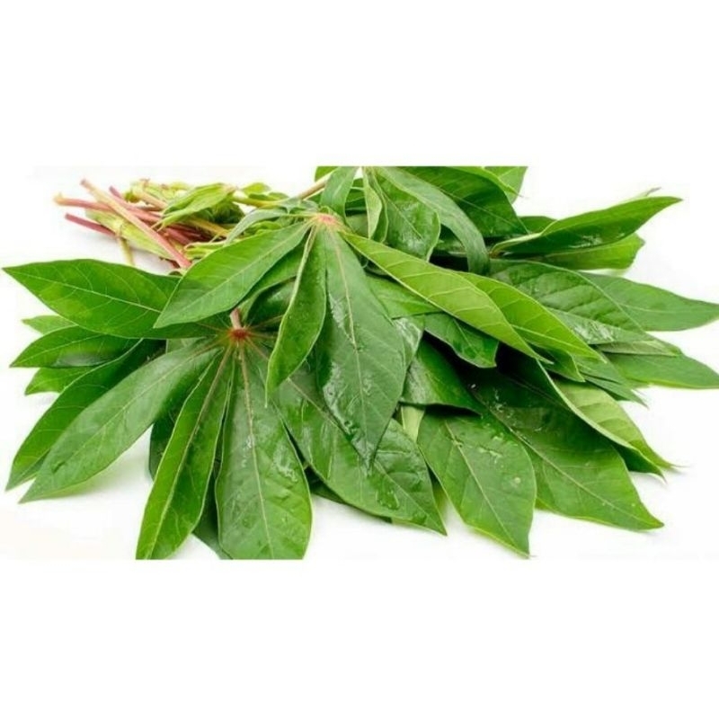 

daun singkong segar per ikat