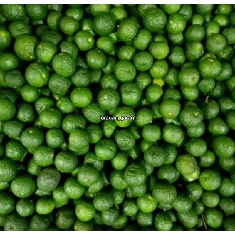 

JERUK LIMO/JERUK LIMAU/JERUK SAMBEL FRESH 1KG