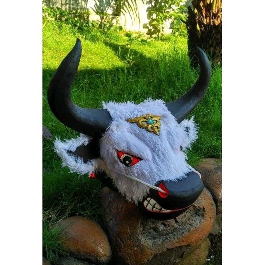 Banteng anak SMP bulu tanduk asli sapi