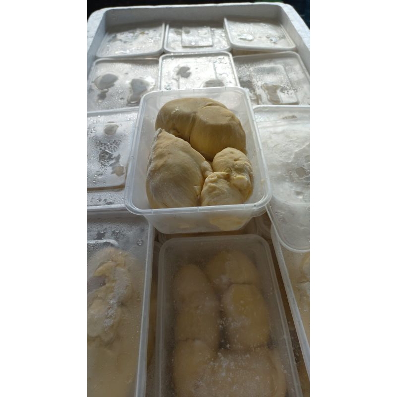 FRESH BEKU DURIAN MONTONG FROZEN | DURIAN MOUNTONG BEKU