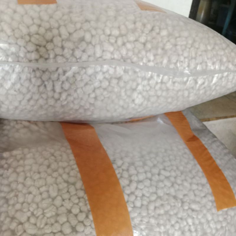 

sukro cikur pilus cikur 1kg