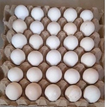 

Telor Ayam Kampung isi 30pc