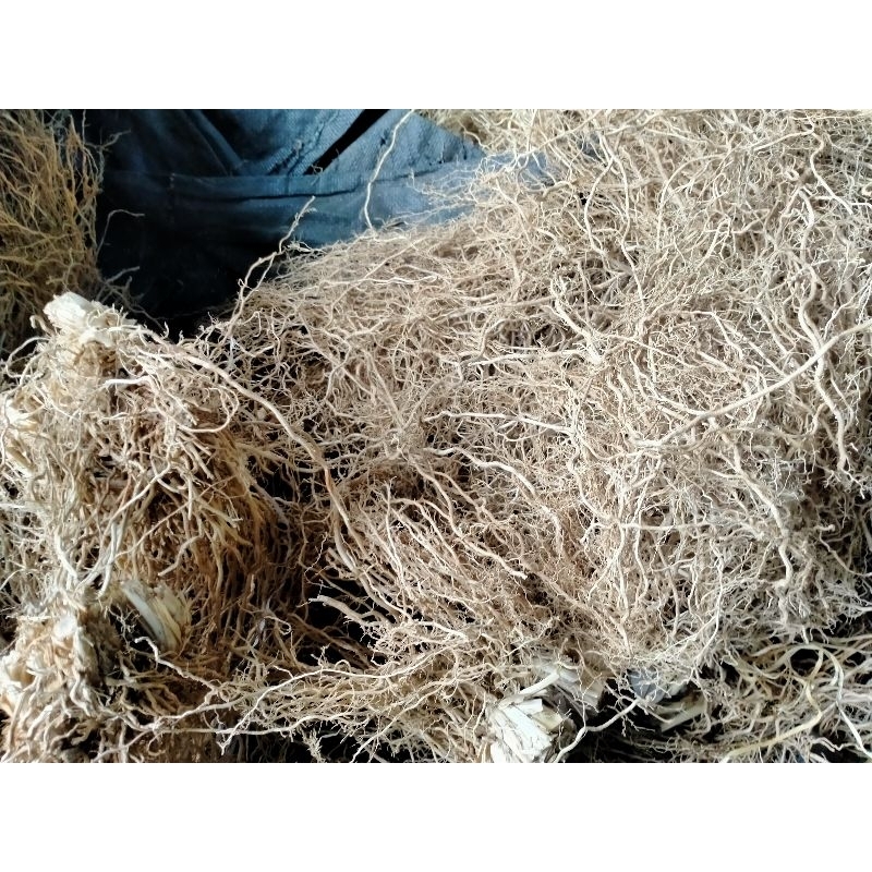 

akar wangi kering 500 gram