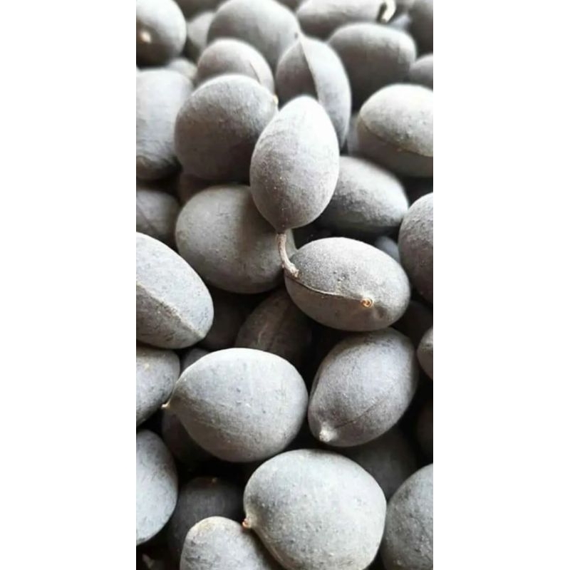 

buah asam ranji/keranji 500gram