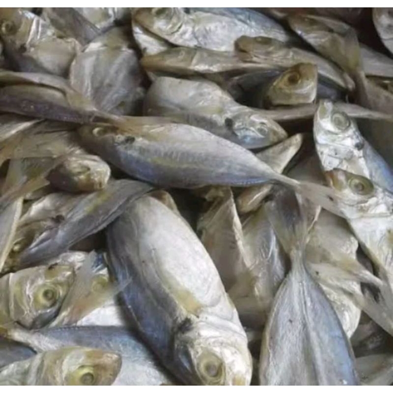 

Rindu alam ikan asin selar TERmurah