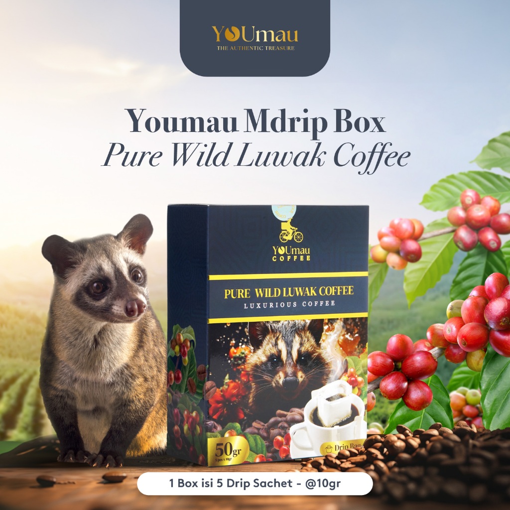 

YOUmau Pure kopi Luwak Drip Coffee