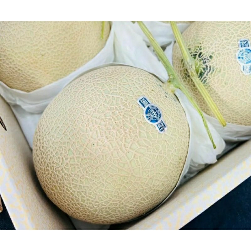 

melon import sweet premium(1)