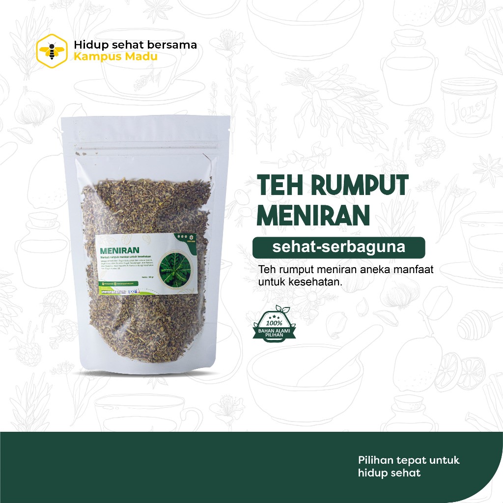

Daun meniran (Phyllanthus urinaria) Kering Bahan JSR