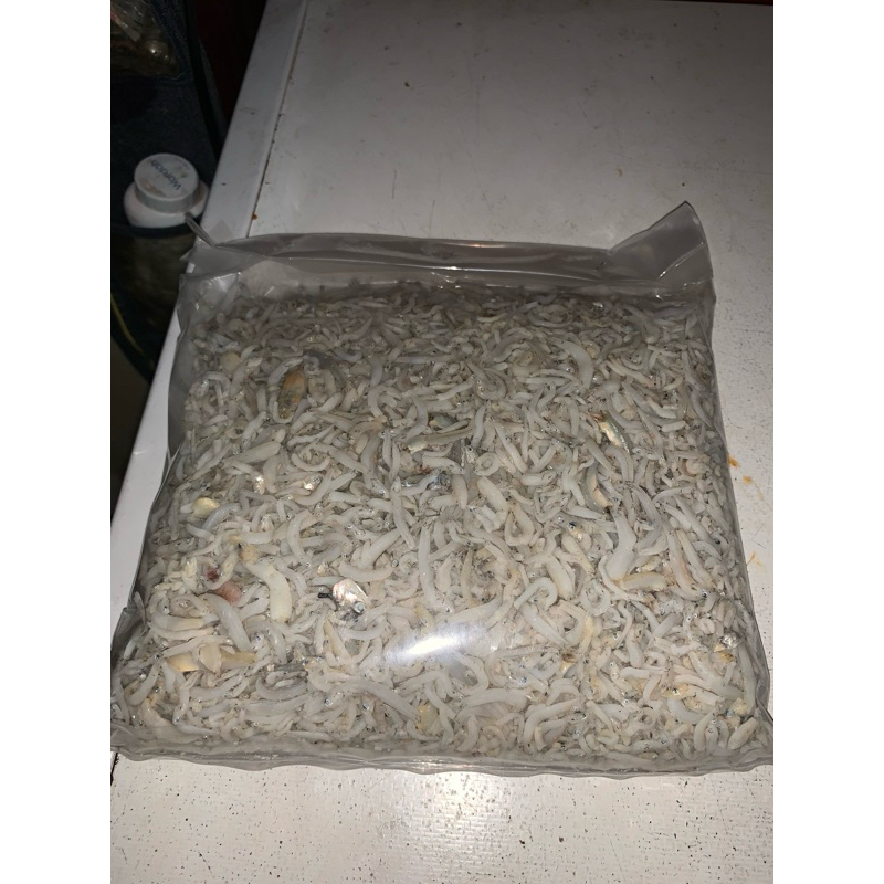 

ikan teri medan