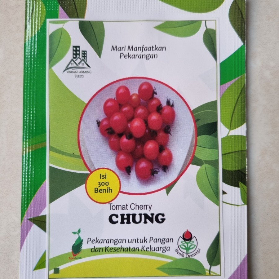Benih Bibit Tomat Cherry CHUNG - IPB