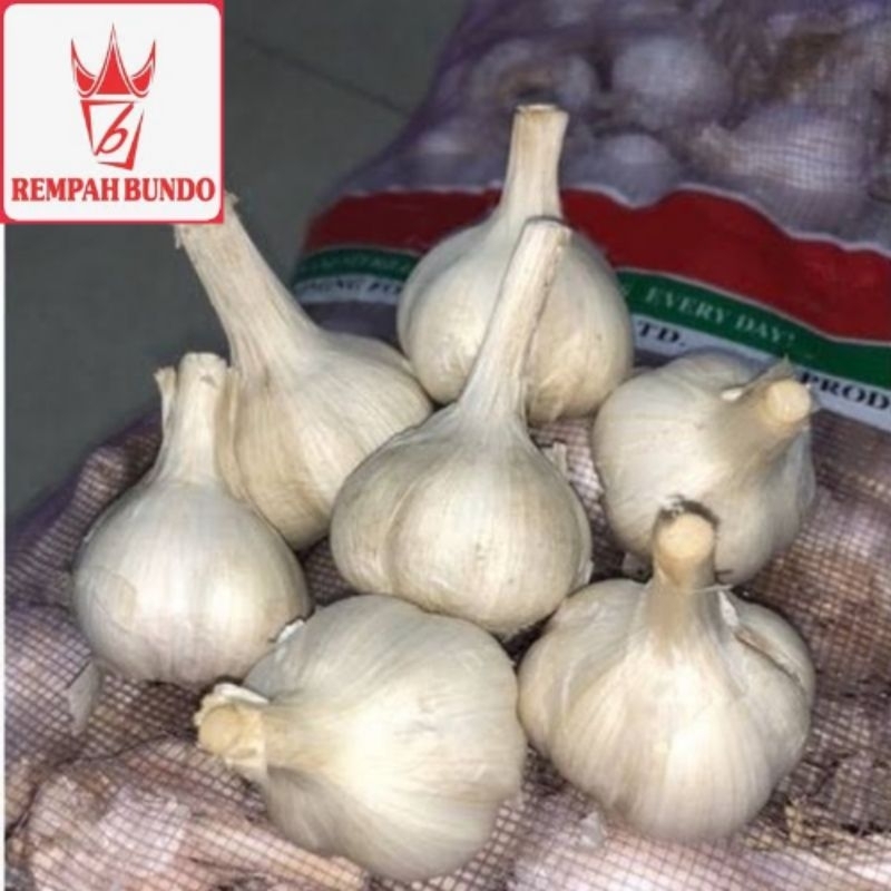 

Bawang Putih Kating Kotor Super 1 kg